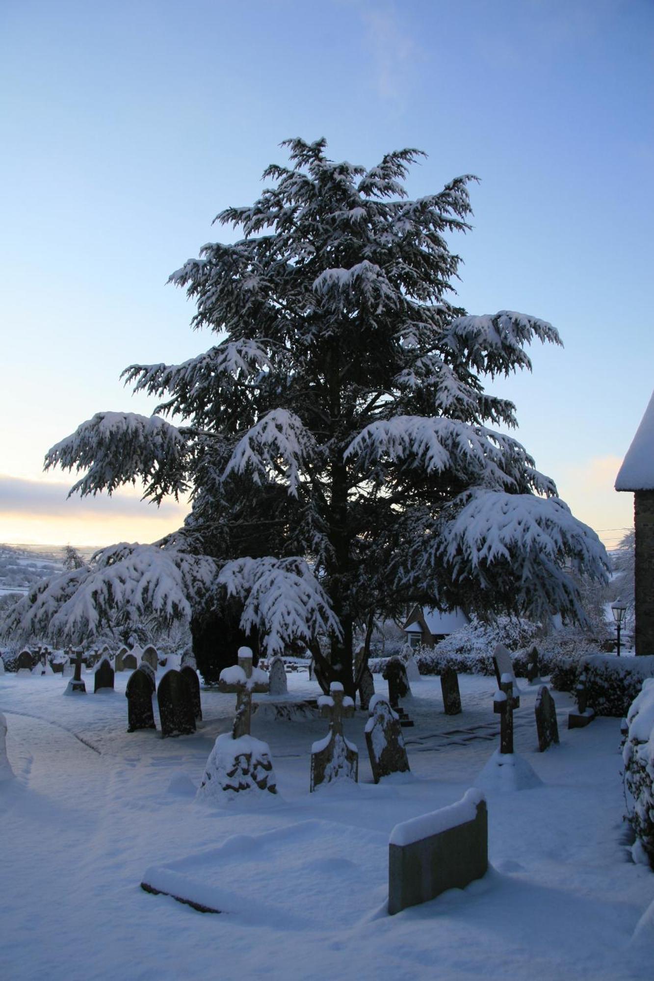 Bed and Breakfast The Belfry At Yarcombe Экстерьер фото
